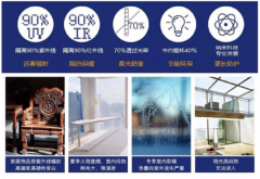 无论是人气、销量还